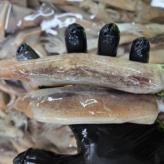 국산 동해안 통찜용 오징어 급냉 오징어 통찜, 1개, 통찜용 오징어 500g