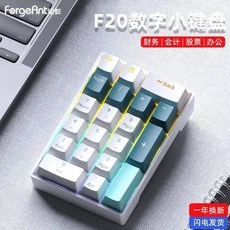 키보드 숫자패드 Forgeant F20 디지털 기계식 키패드 미니 RGB 20 키 회계사 노트북 외부 휴대용 금융 사무실 유선, 03 blue