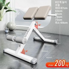 리핀247 노르딕컬 윗몸일으키기 운동 햄스트링 노르딕, 로만 체어