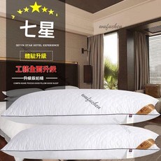 舒適長抱枕 雙人側睡枕 送枕套 情侶枕, 1.0米珩繡枕單獨枕芯【無枕套】