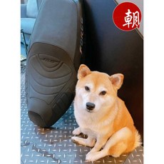 MTRT FORCE一代 沙發坐墊 麂皮夜光LOGO開模坐墊, 1個