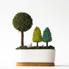 SCANDIAMOSS 人造花盆擺飾, 苔綠色, 1個