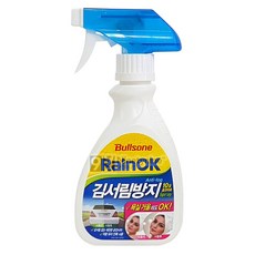 불스원 레인OK 김서림방지 스프레이, 280ml, 2개