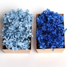 화연양화 톤온톤 박스 수국 2개입 프리저브드플라워 시들지않는생화, 06 스카이블루