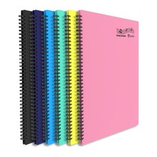 플랜 스프링형 A4 악보화일 다양한 칼라 양면메모 포켓기능 20매 3+1, 민트, 4개, 20P