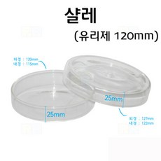 샬레 120mm 유리/과학 실험 키트 교구 도구 만들기