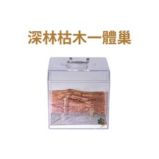螞蟻帝國深林枯木一體式立體石膏巢螞蟻巢蟻窩養螞蟻新版上蓋, 1個