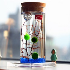 레나셀렉 led 마리모키우기 미니유리병 테라리엄