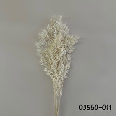 花藝夢*日本大地農園 不凋小樺木葉 03560 *原裝販售*永生花 乾燥花 不凋花 葉材 大地, 03560-011