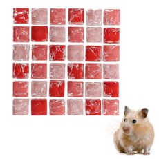 LIUZONGIN Hamster Pad Summer Cool Mat 매트리스 소형 동물 수면 패드 햄스터 설치류 레드 9.7cm x 9.75cm 148130, LIUZONGIN Hamster Pad Summer C