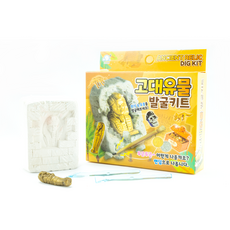 브라더유통 고대화석 발굴 탐험 발굴 키트 1박스 12개