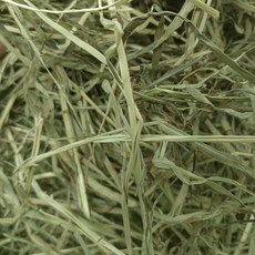 苜蓿草 寵物磨牙草 兔子天竺鼠龍貓適用, 1個