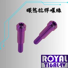 ROYAL 鈦合金 M6*32B 碟煞拉桿/錐形螺絲, 1個