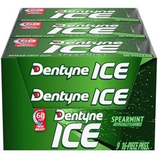 덴타인 아이스 스피어민트 무설탕 껌 Dentyne Ice Spearmint Sugar Free Gum, 1개
