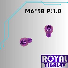 ROYAL 鈦合金螺絲 M6*5B P:1.0 錐形螺絲 皇家紫, 1個