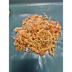 뉴질랜드 수태 75g 150g 1000g 테라리움 토피어리, 1개