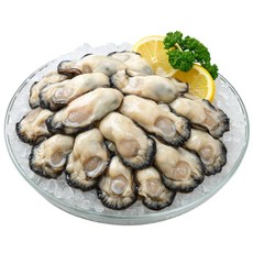 [선별최상품] 통영 생굴 손질 굴 싱싱한 깐굴 횟감용 김장용 조리용 디아머스, 1개, 2kg