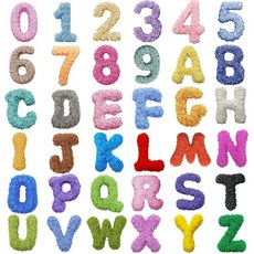 Anbjin 여성용 신발 참 남성용 신발 장식 신발 액세서리 플라스틱 보석 없음, 편지