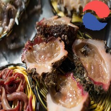 제철 국산 자연산 꽃멍게 돌멍게 1kg 통영 거제도 5-8미, 돌멍게 1kg(5-10미)