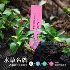 AC草影 水草名牌 (100入/粉紅色) ECS012060