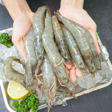 [파시] 국내산 탱글탱글한 신선 급냉 흰다리새우 냉동새우 1kg (36~47미), 1개, 새우 [36-47미] 1kg
