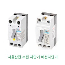 서울산전 누전차단기 배선차단기 2P 15A 20A 30A, 배선 30A(산업용), 1개