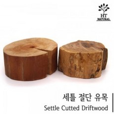 어항 인테리어 절단유목 (S) 수조 수족관 장식용품바쁜달걀, 1