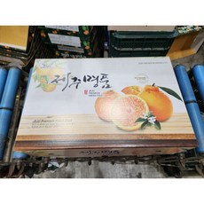 제주 명품 프리미엄 한라봉, 1개, 3kg