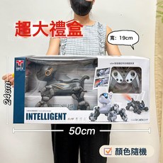 DFMEI 兒童大號無線遙控車男孩電動遙控車跑車賽車機構新年禮品大禮盒, 1個, 996-137八輪特技噴霧機器狗【2色隨機】:如圖