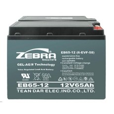 Zebra EB65-12 堆高機/貨車用 12V 65Ah 充電電池, 1個, 無三聯發票, N/A
