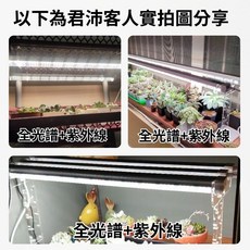 君沛 T8 LED植物生長燈, 1個, 全光譜+UVA紫外線