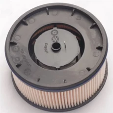 [호환제품] A21F 연료 필터 31922CG900 현대기아용, 01 As Shown