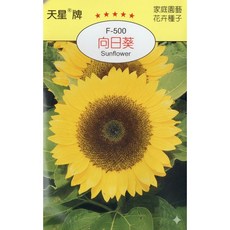 天星牌 向日葵種子 F-500 家庭園藝花卉種子 穗耕種苗 Sunflower, 1包