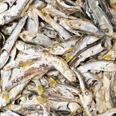 고노리다시멸치 1.5KG 국물 육수 업소용 대용량, 1박스