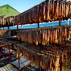 노씨고집 구룡포 정품 손질 꽁치 과메기, 1개, 단품 5미