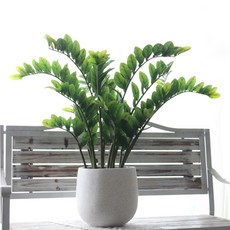 다우에프앤지 조화 대형 나무 금전수, 그린, 1개