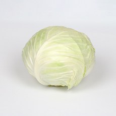 아삭한 국내산 양배추, 1개, 2kg