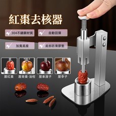 紅棗去核器 水果去籽神器 去籽工具 紅棗去籽器 取核器 大小紅棗都可用, 1個, 本鋼色