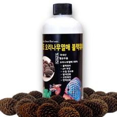 ACE 멸균 오리나무열매 블랙워터 수질관리 연수화 PH안정, 1개, 300ml