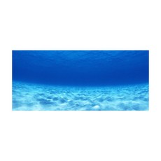 미미네아쿠아 시트지 심해바다 어항 백스크린 (h30x60), 1개