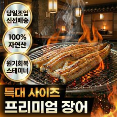 불끈장어 선주직송 자연산 통영 바다장어 손질 특대 + 소스2종 구이용, 1개, 1kg