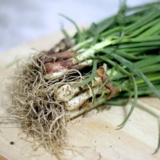 국내산 햇 쪽파 흙쪽파 1단, 1개, 1kg