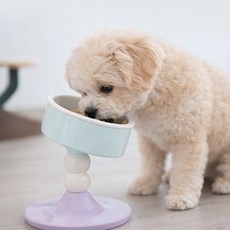 세파사 댕냥이 높이조절 댕그르릇 밥그릇 물그릇 도자기, 2개, 옐로우비비드