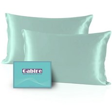 Gabire Mulberry 실크 베개 커버 2개 세트 양면 리얼 머리카락과 피부 트러블 방지 2팩 숨겨진 지퍼 샴페인 표준(50.8 x 66cm(20 26인치))