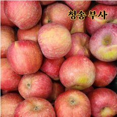 [고산지 재배] 사과 고당도 청송사과 부사사과, 1박스, 5kg (상품) 가정용