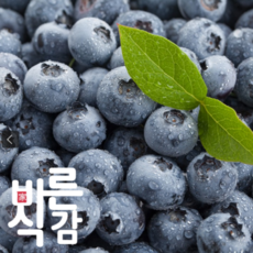 생 블루베리 14-16mm 250g (125g x 2팩), 2개