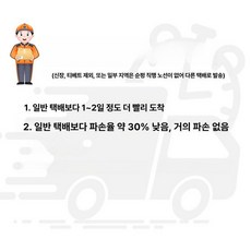 티메이커 유리 티포트 보온 차 중탕기 한약 달임기 홍삼, 1L 이상, 순펑 전국 배송, 기본 색상