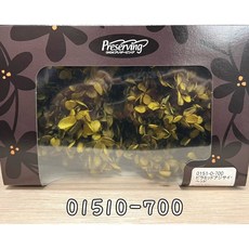 日本大地農園不凋繡球花金字塔繡球原裝盒，花藝設計居家裝飾，多色可選，輕鬆打造浪漫氛圍, 700