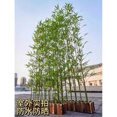 인조 대나무 화분 탄화 카페 조화 대형 인조대나무, 1개, 50cm 목재 받침대+150cm 대나무 10개