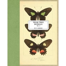 (영문도서) Vintage Prints: Butterflies: Vol. 4 Paperback, Createspace Independent Pub..., English, 9781721569168